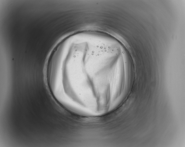 X0000101711392200807311443