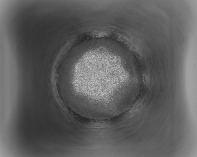 X0000101711393200807311442