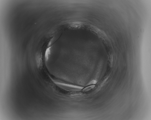 X0000101711394200807311442