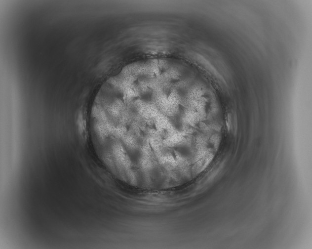 X0000101711396200807311442