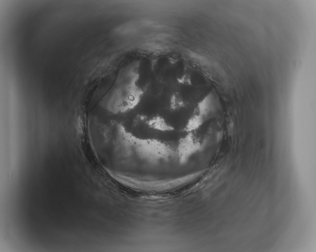 X0000101711397200807311442