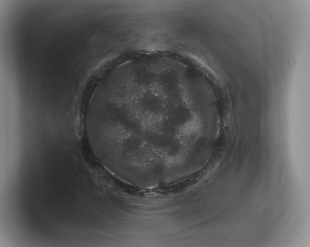 X0000101711398200807311442