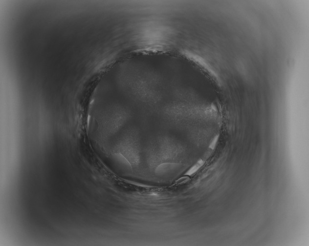 X0000101711399200807311442