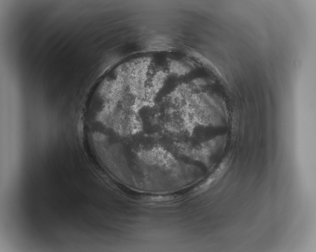 X0000101711401200807311442