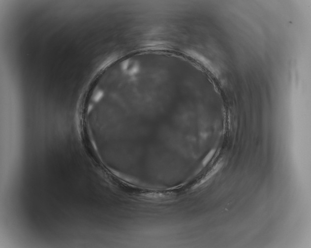 X0000101711405200807311442