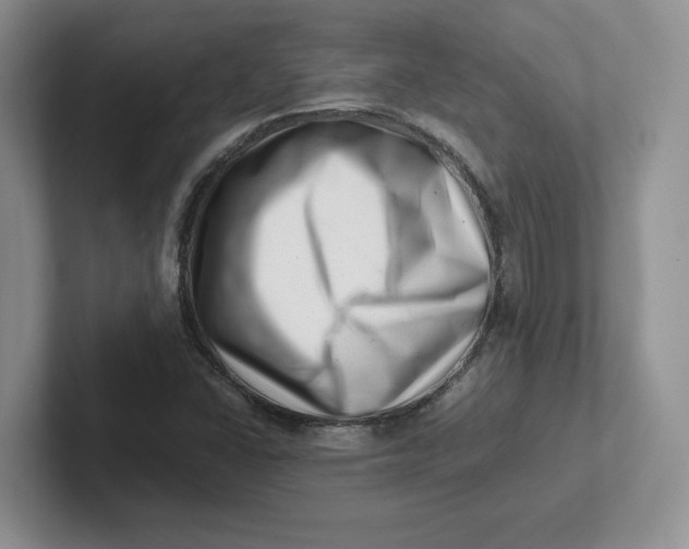 X0000101711406200807311442