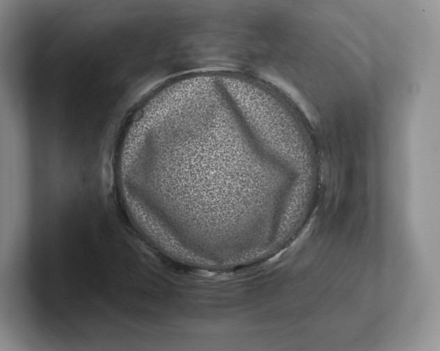 X0000101711407200807311442