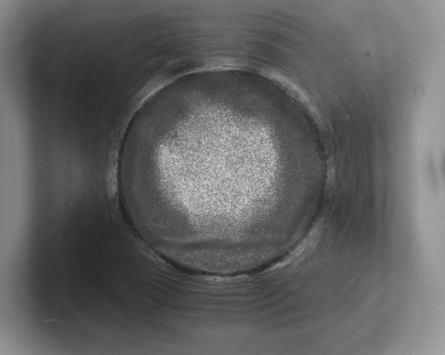 X0000101711409200807311442