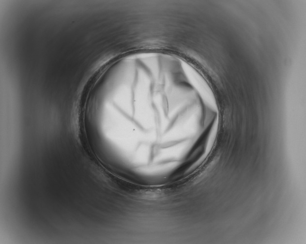 X0000101711410200807311443