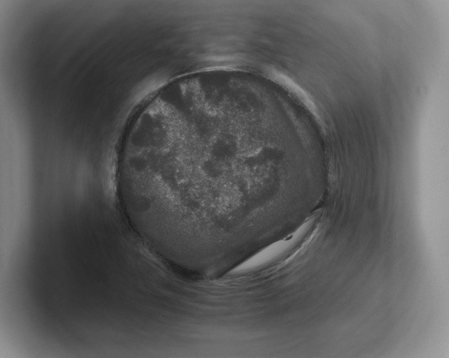 X0000101711411200807311443