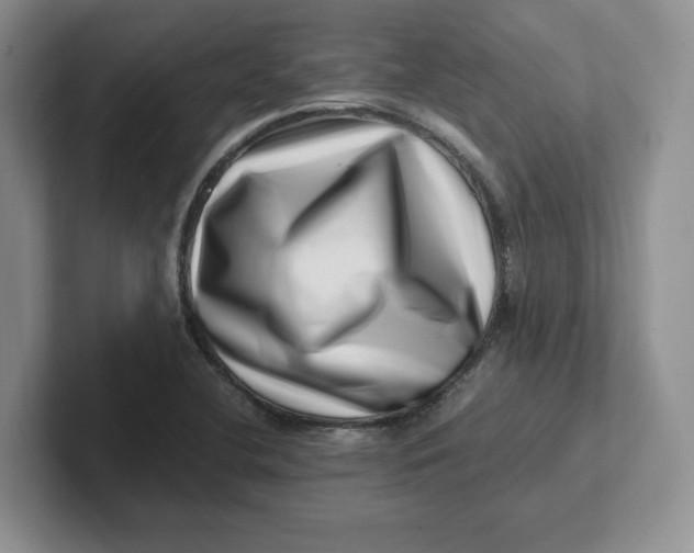 X0000101711412200807311443