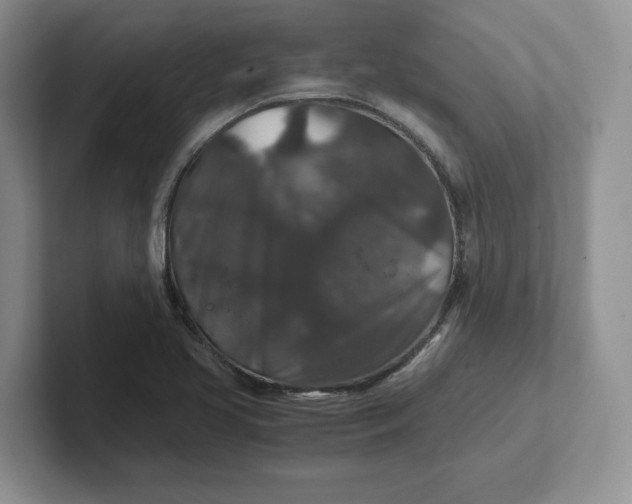 X0000101711413200807311443