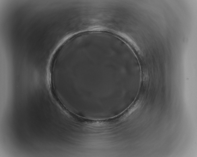 X0000101711414200807311443