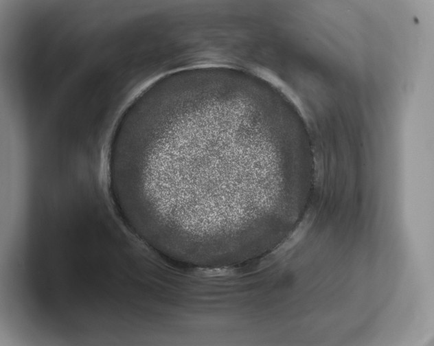 X0000101711415200807311443