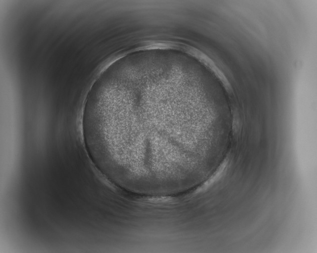 X0000101711417200807311443