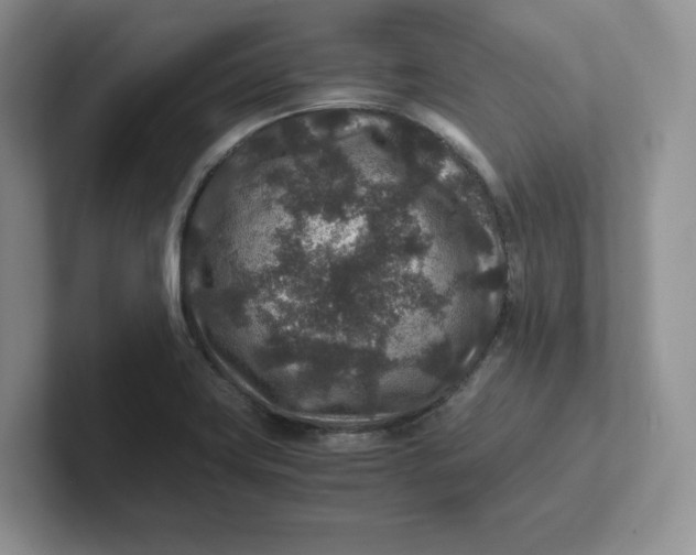 X0000101711419200807311443