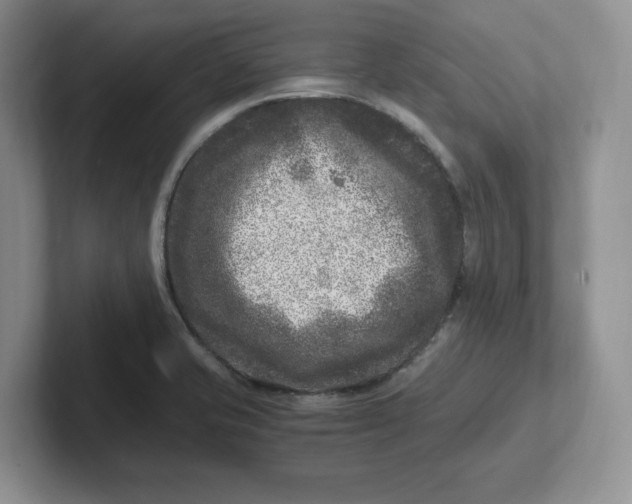 X0000101711421200807311443