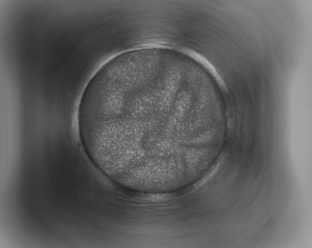 X0000101711423200807311443