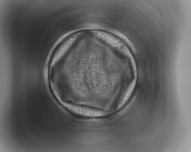 X0000101711424200807311443