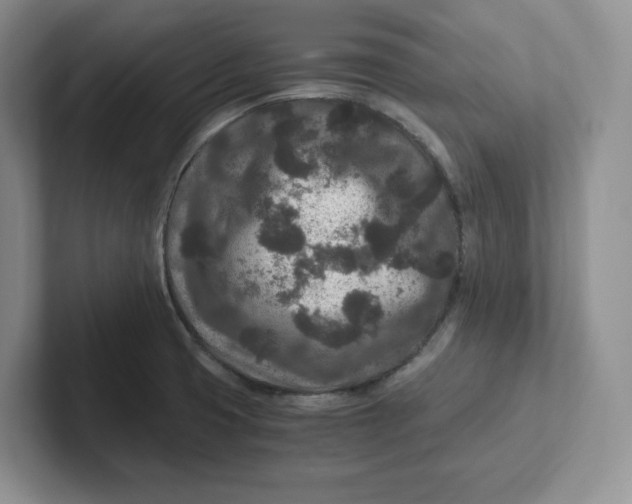 X0000101711425200807311443