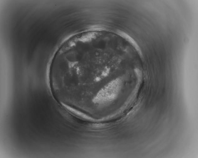 X0000101711427200807311443