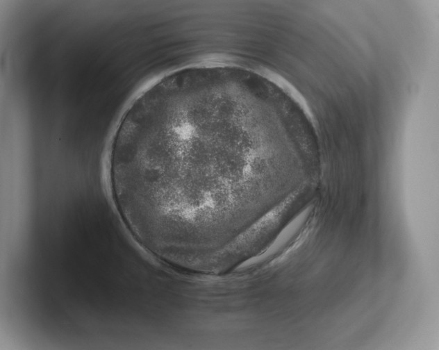 X0000101711429200807311443