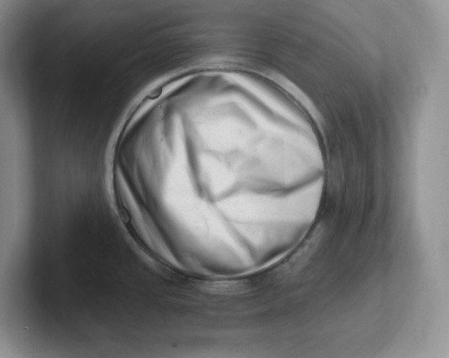 X0000101711437200807311443