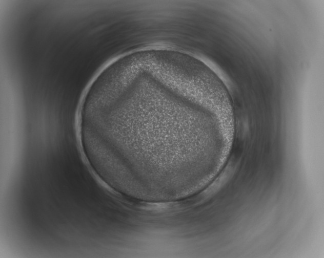 X0000101711438200807311443