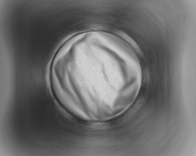 X0000101711439200807311443