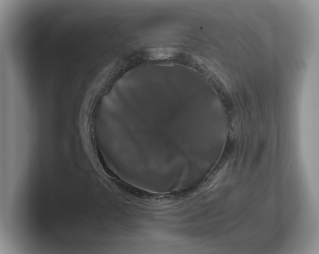 X0000101711441200807311442