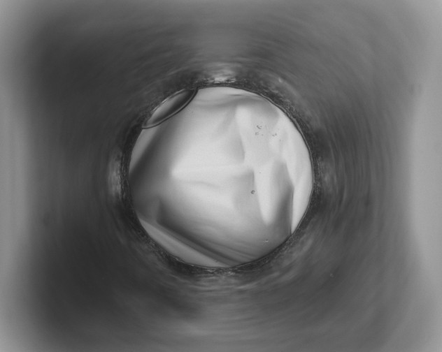 X0000101711442200807311442