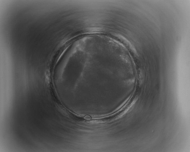 X0000101711449200807311442