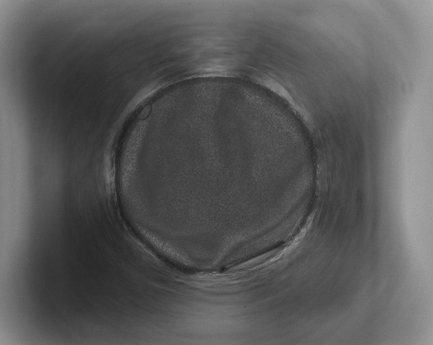 X0000101711450200807311442