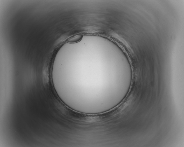 X0000101711451200807311442