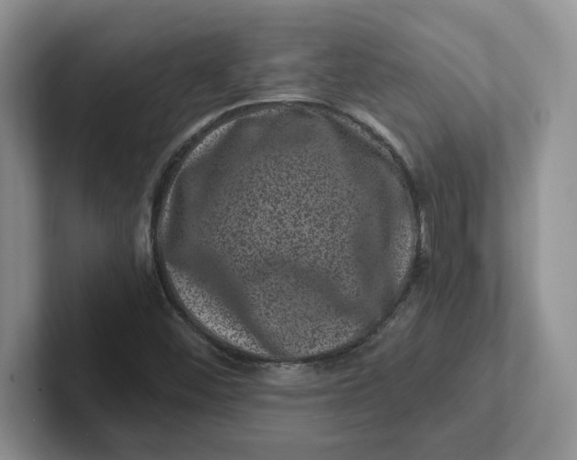 X0000101711452200807311442