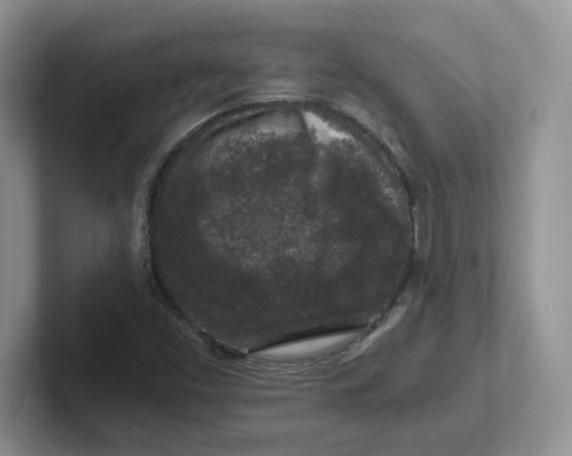 X0000101711453200807311442