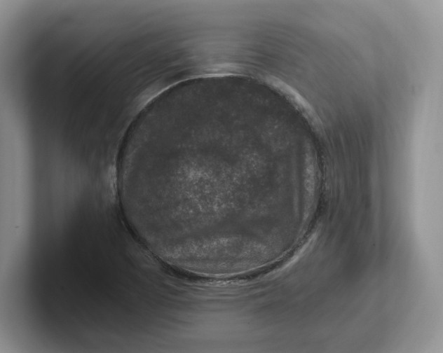 X0000101711457200807311442