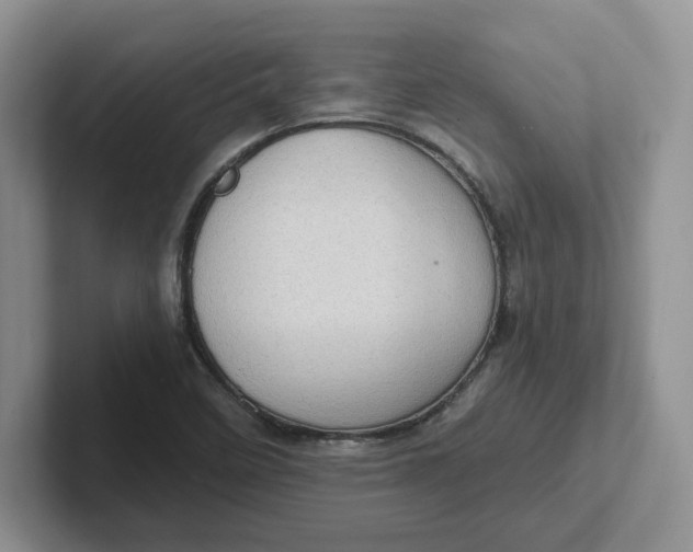 X0000101711458200807311442