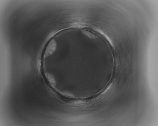 X0000101711459200807311442