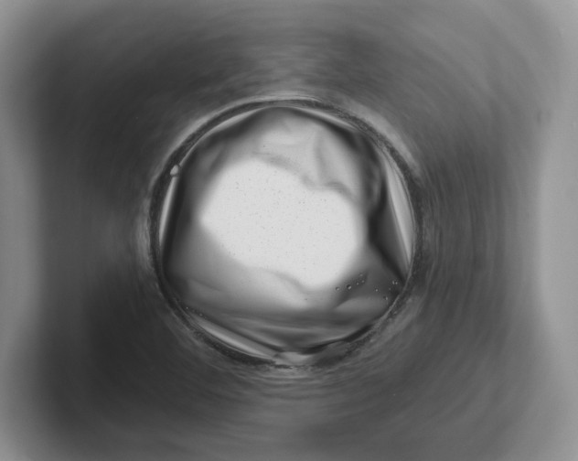 X0000101711460200807311442