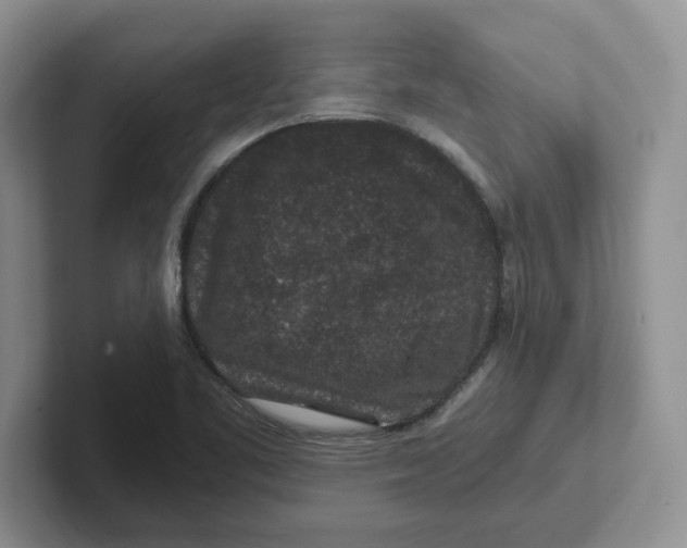 X0000101711461200807311442