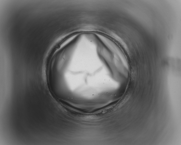 X0000101711464200807311442