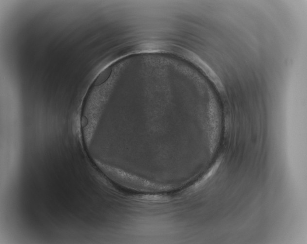 X0000101711465200807311442