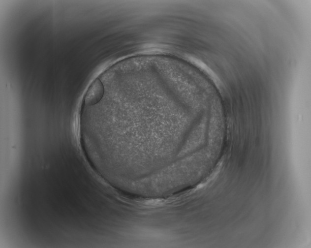 X0000101711467200807311442