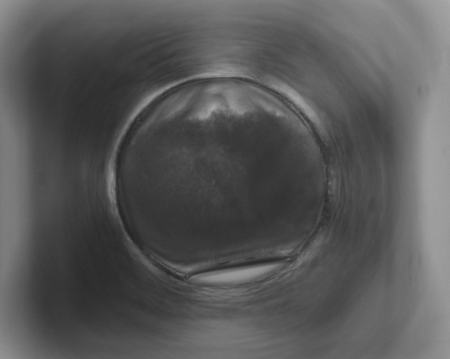 X0000101711468200807311442