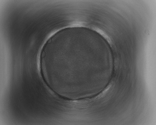 X0000101711469200807311442