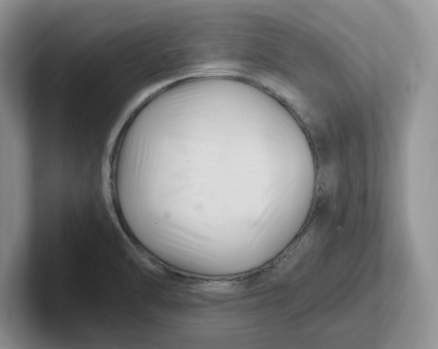 X0000101711470200807311442