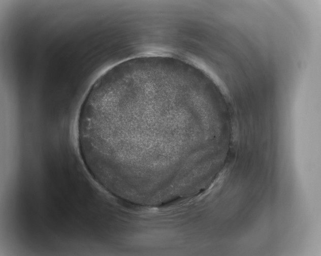 X0000101711471200807311442