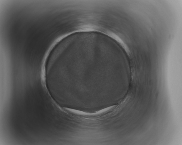 X0000101711472200807311442