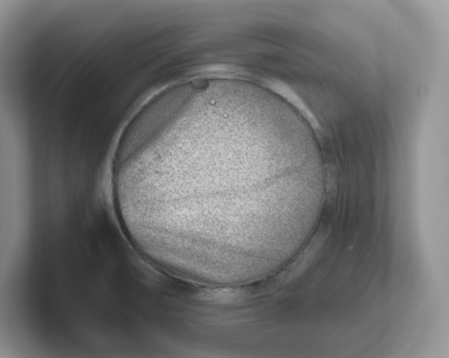 X0000101711474200807311442